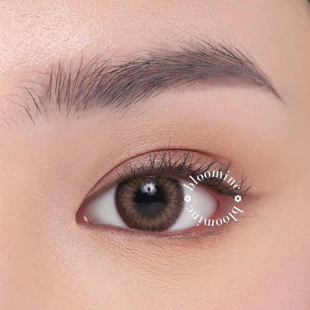 Bloominc Daisy Brown - Softlens Queen Contact Lenses